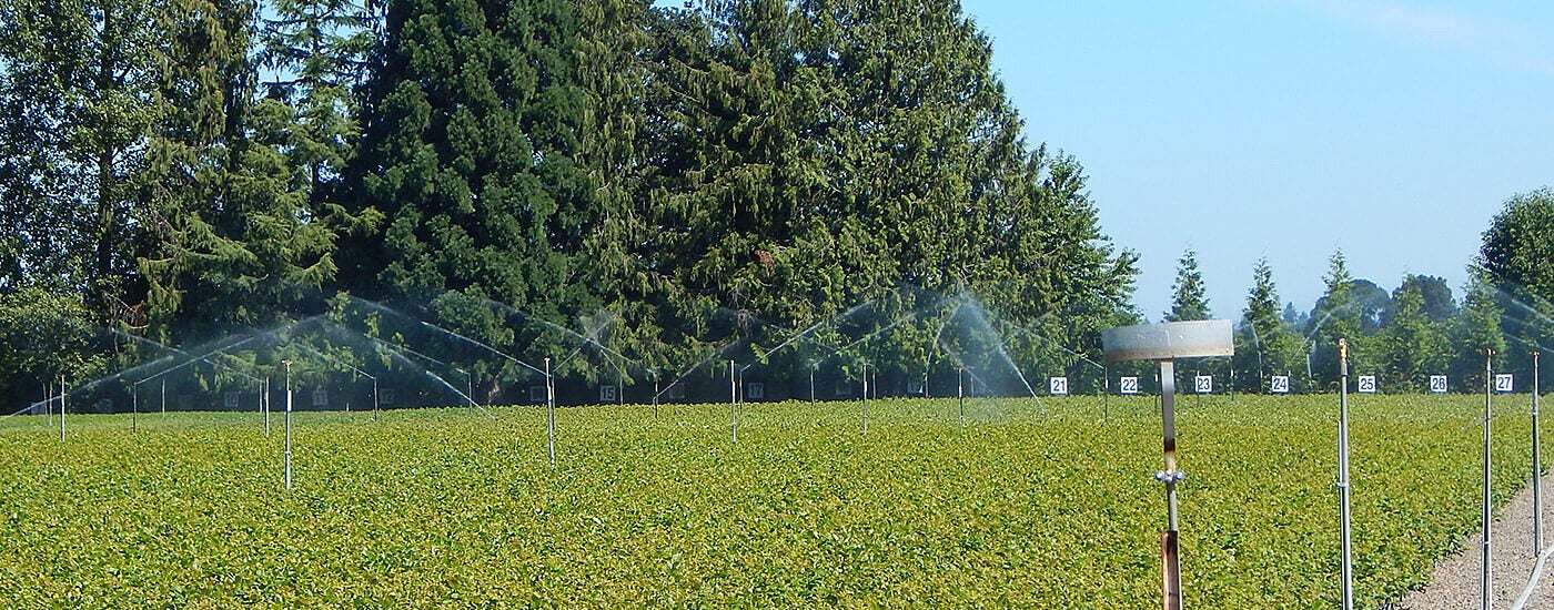 Impact Sprinklers