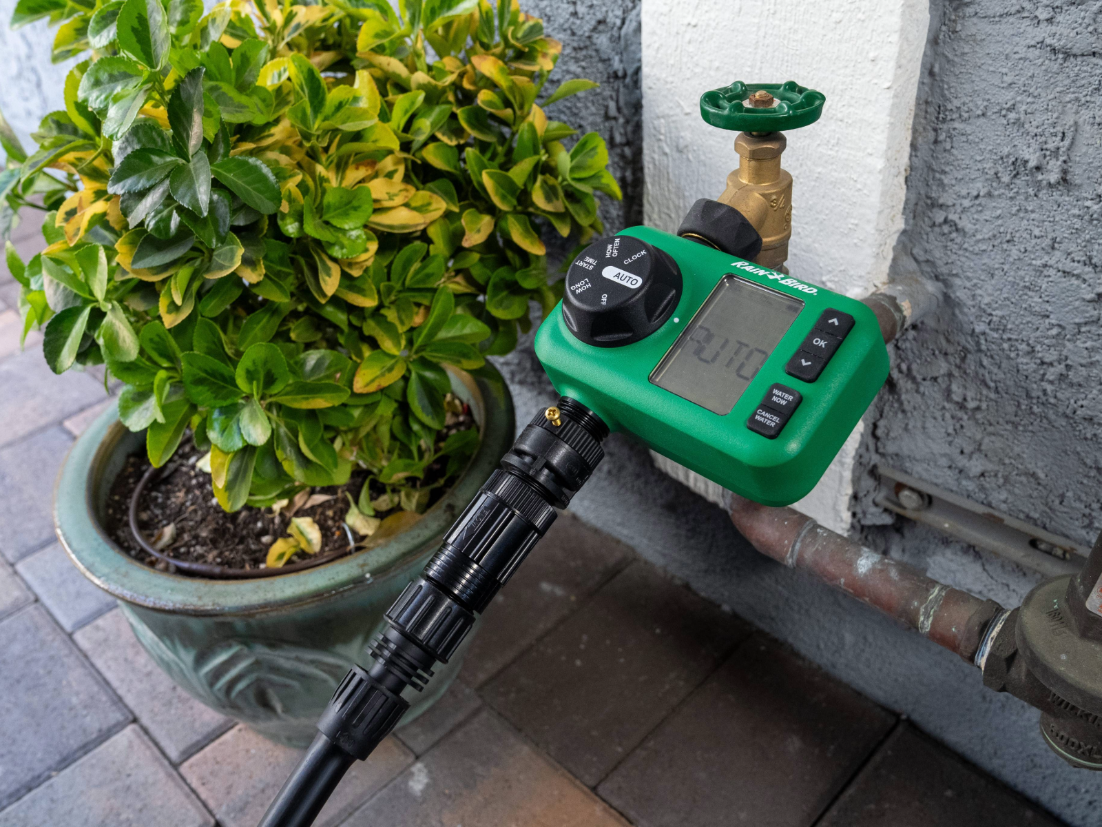 hose end timer