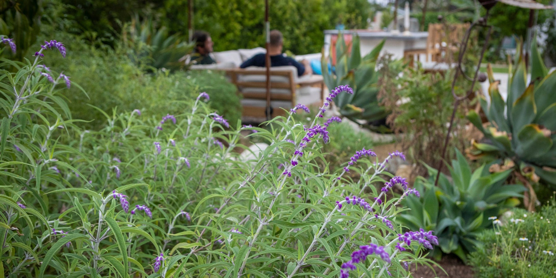 Eco-Friendly Garden