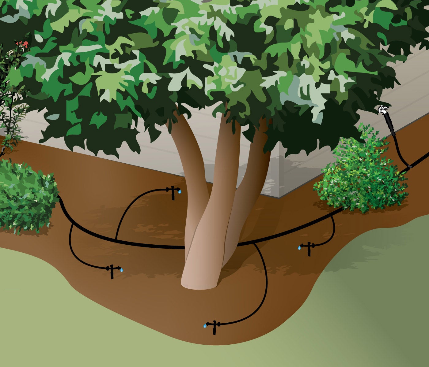 drip irrigation for small tree