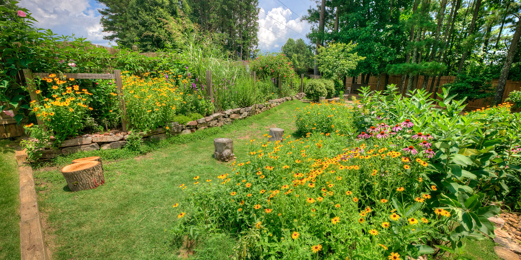 pollinator-friendly lawn