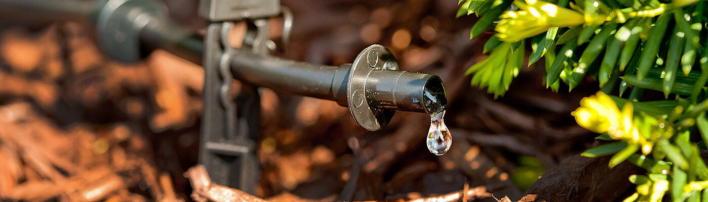 Rain Bird Drip Irrigation Spot Watering Dripper/Emitter 30-Pack 2 Gallon Per Hour 