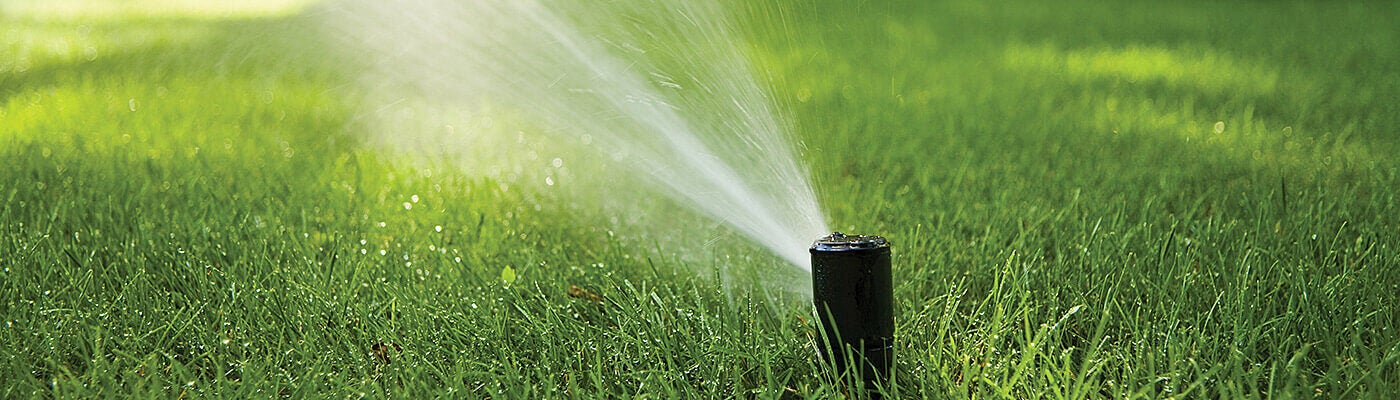 Rotor Sprinklers