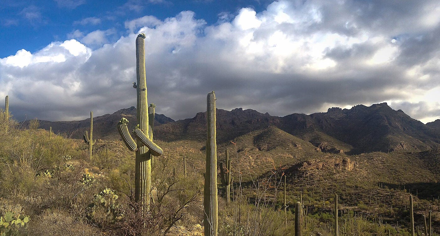 Tucson-Arizona-picture