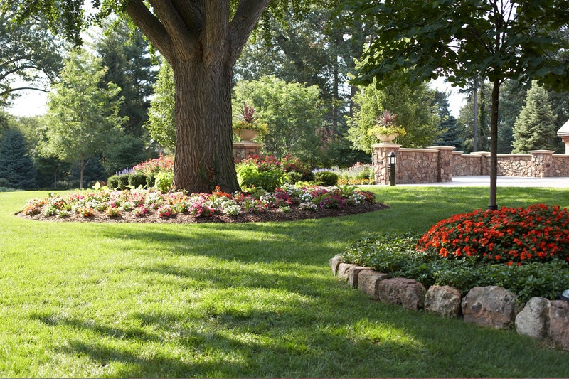 Residence with large tree