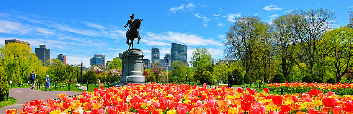 Boston Public Garden