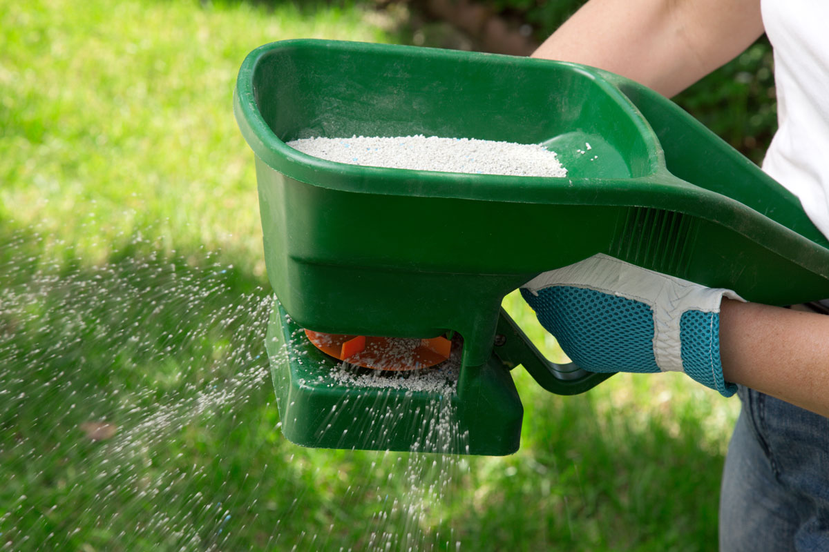 fertilizing