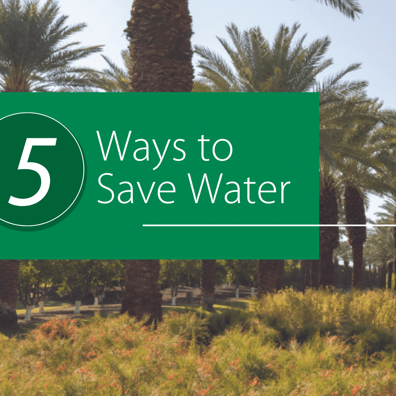 5 Ways to Save