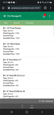 Flow Manager Branch View