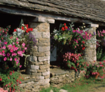 Hanging Baskets