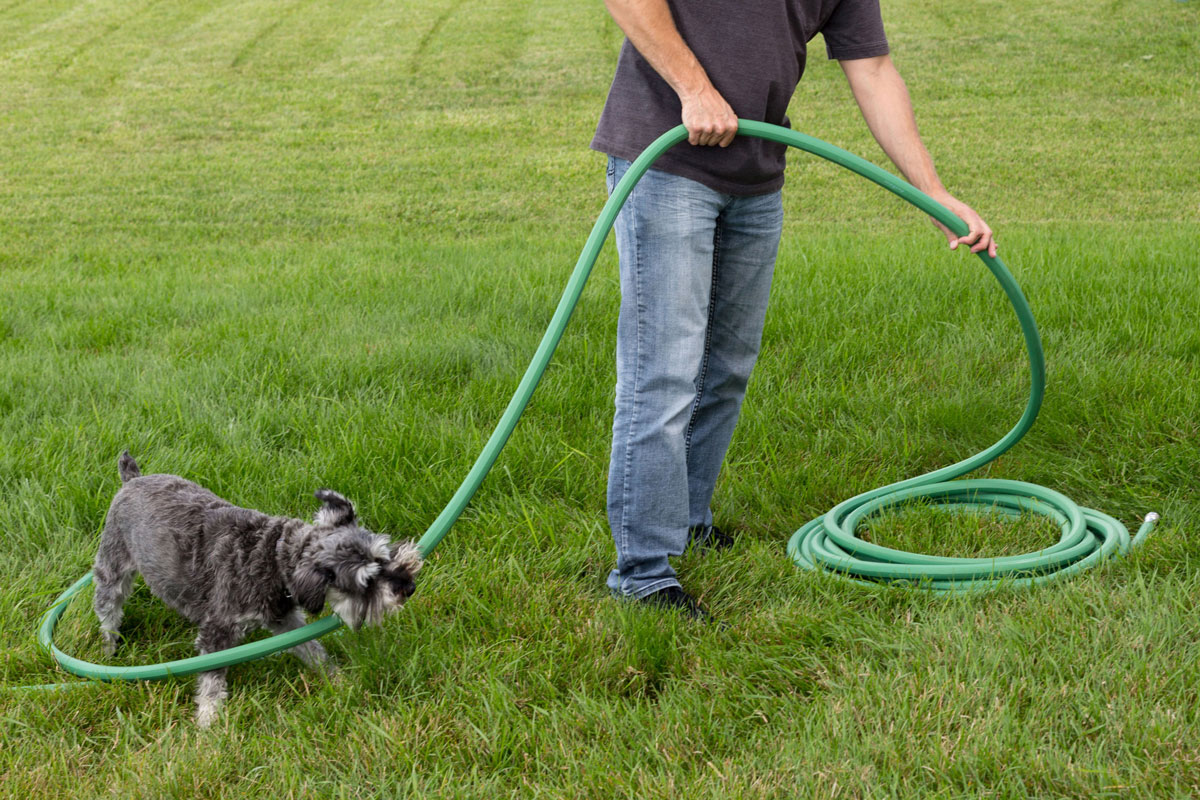 garden hose