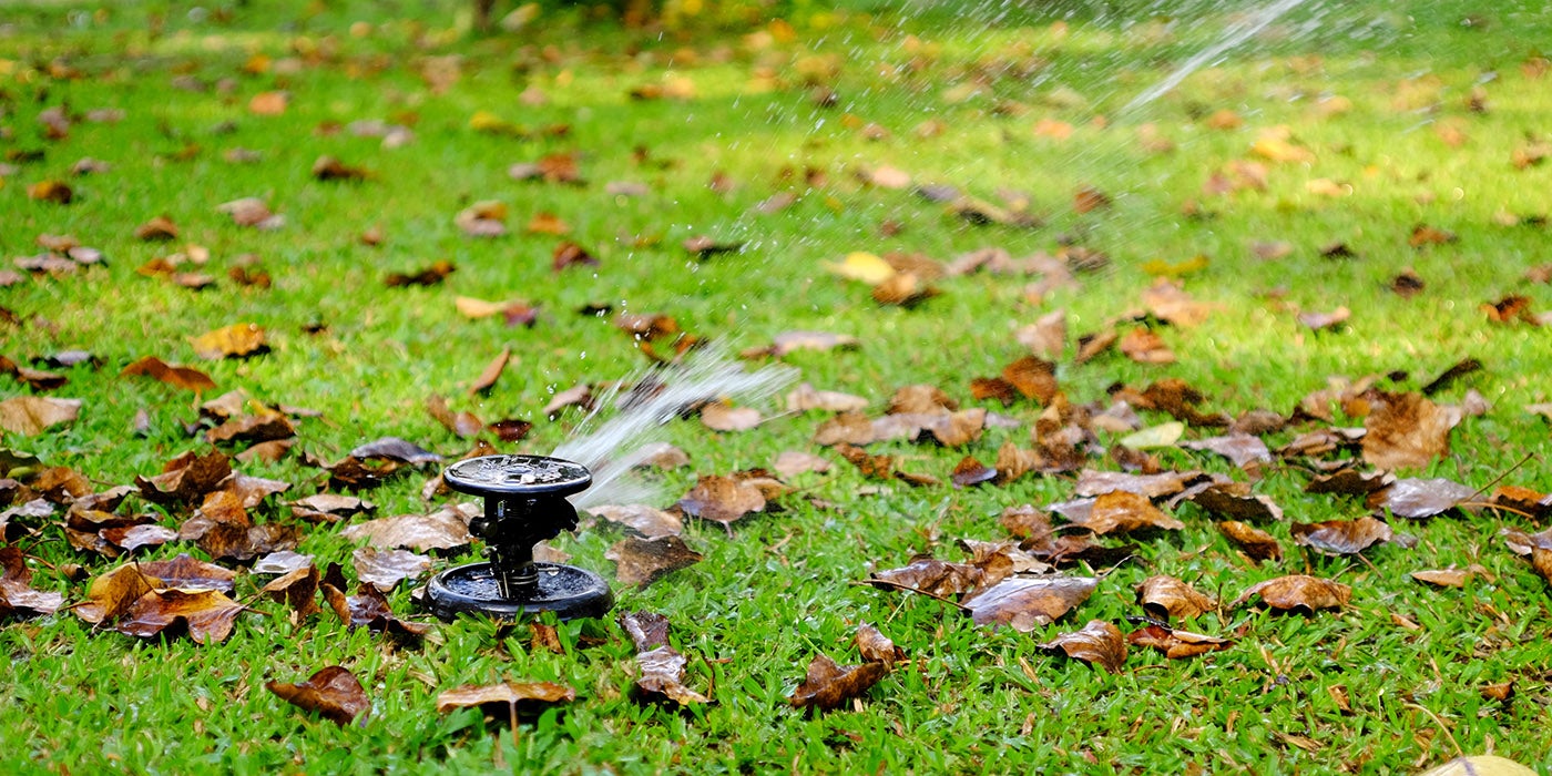 sprinkler in fall