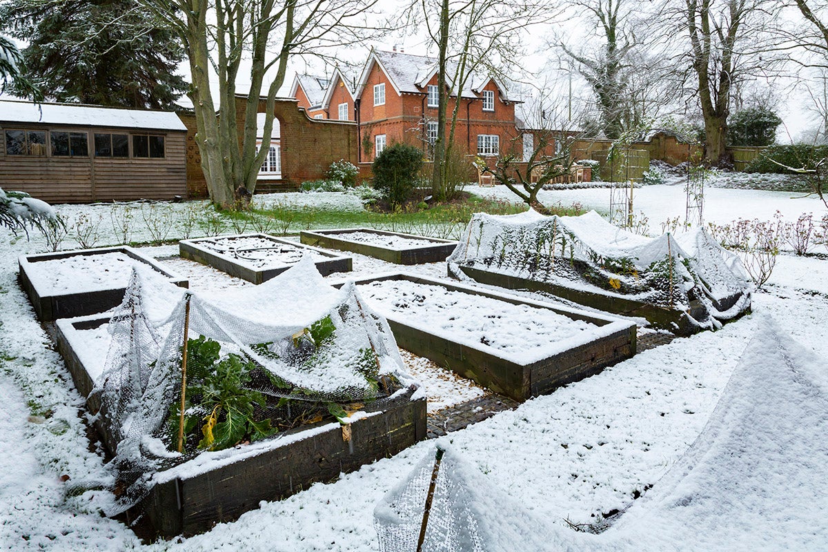 outdoor winter garden