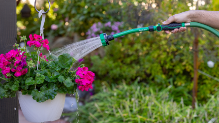 watering wand