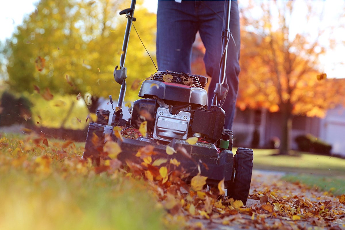 lawn mower in the fall