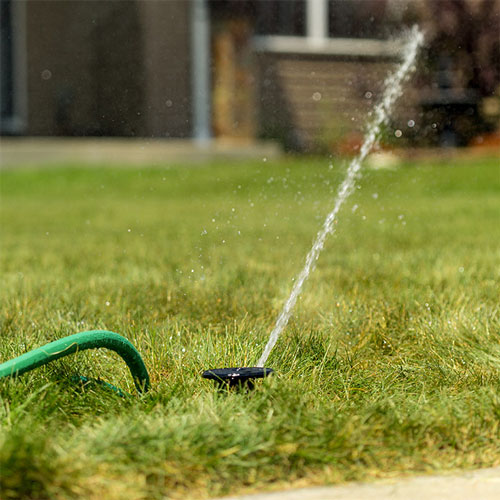 lawn irrigation