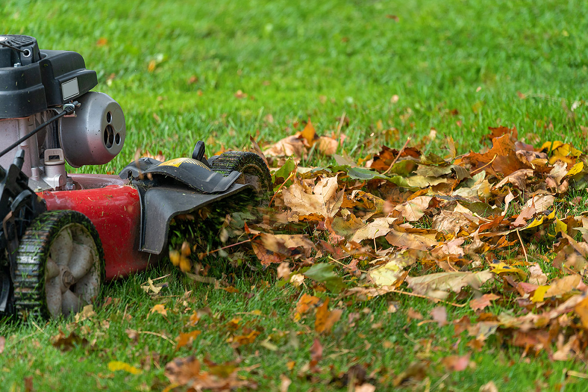 mulching mower
