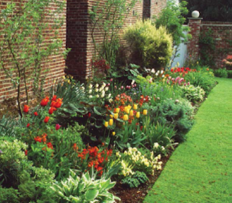 Narrow Garden Beds