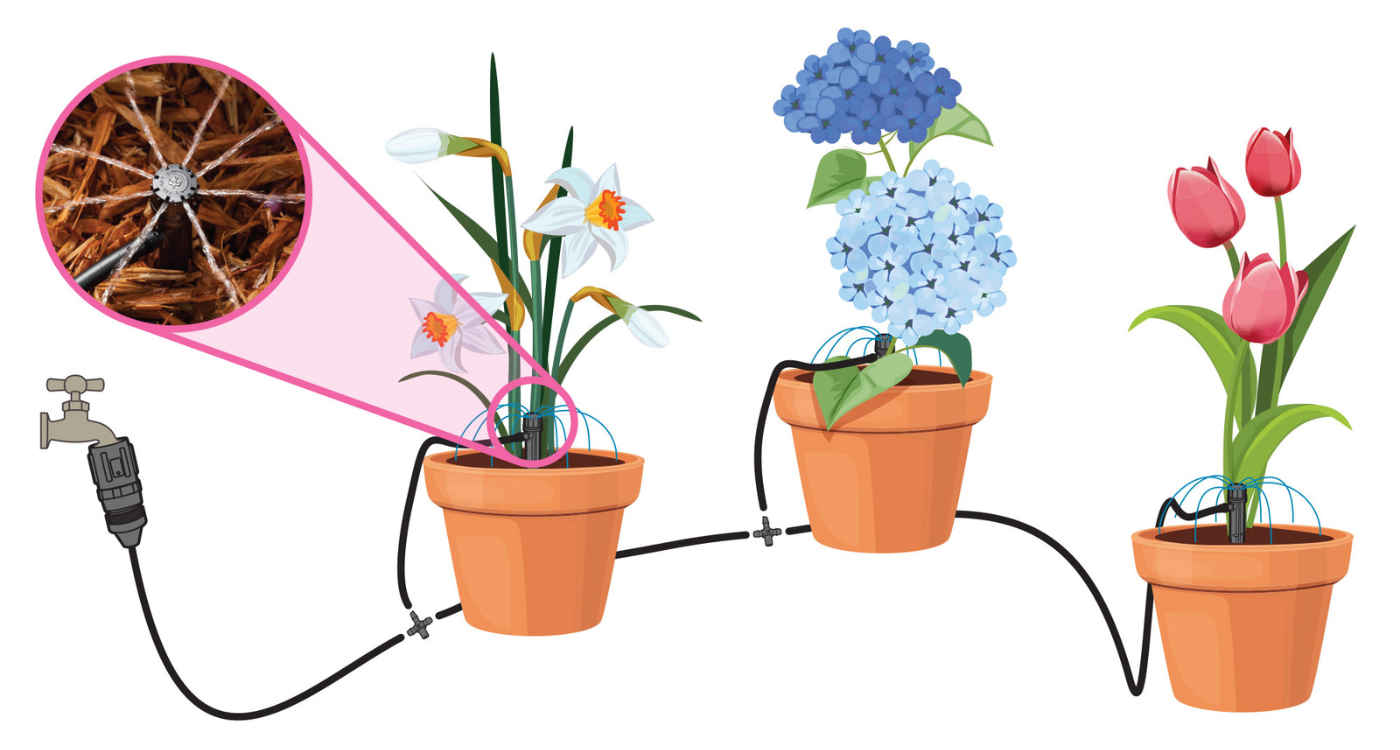 Potted Kit Plant with Micro Bubblers