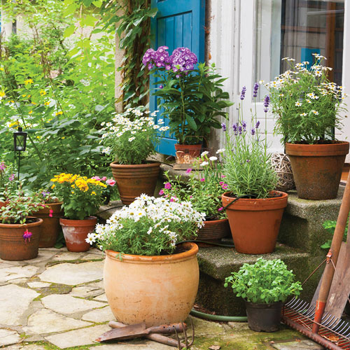 potted plants