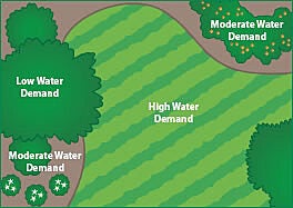 Different plant types