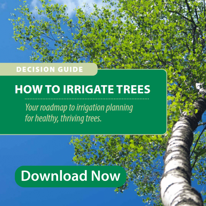Irrigating-Trees-Guide-Agency-News