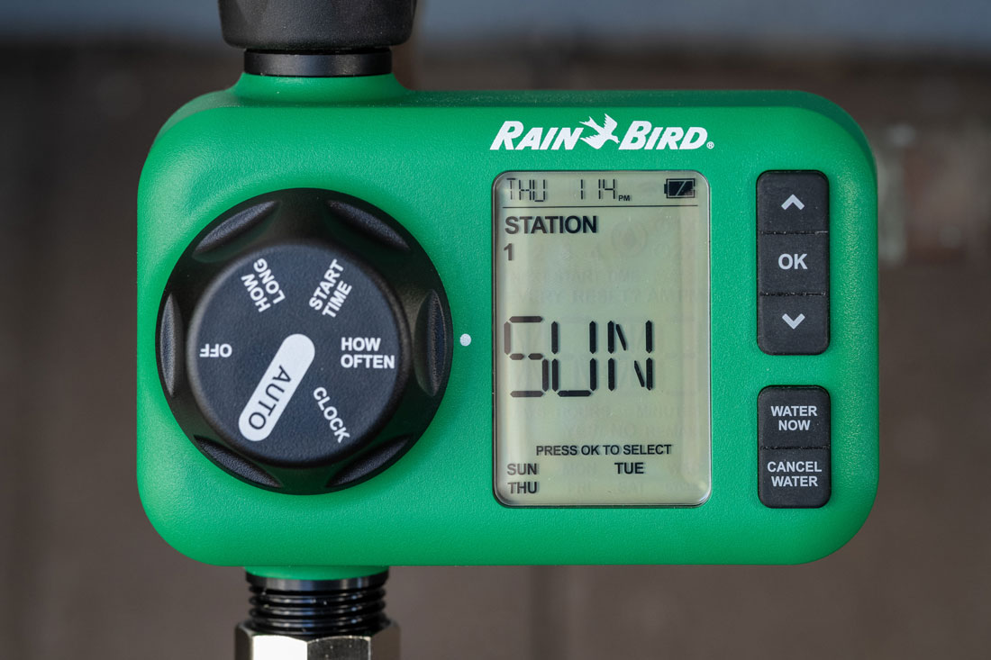choose watering frequency