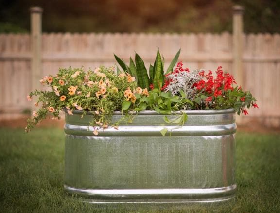 raised bed garden