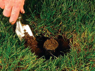 replace a pop up sprinkler head