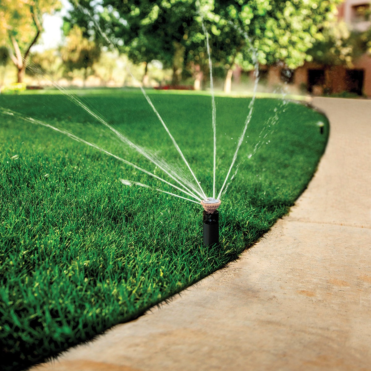sprinkler watering sidewalk