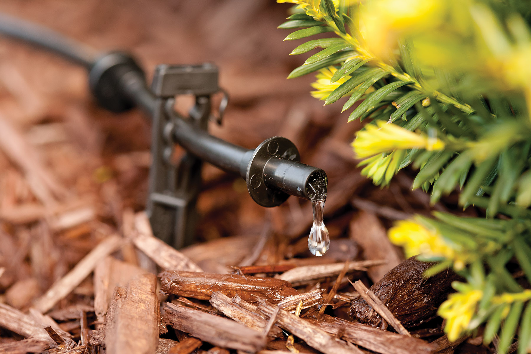 drip irrigation spot watering