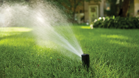 rotor sprinkler