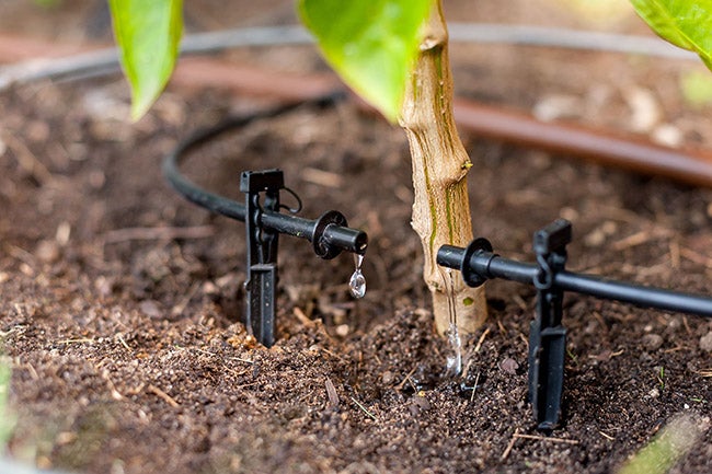 Drip irrigation