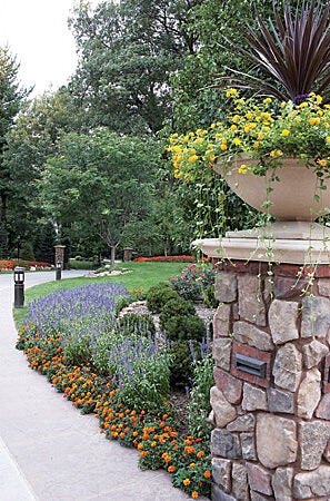 Landscape path