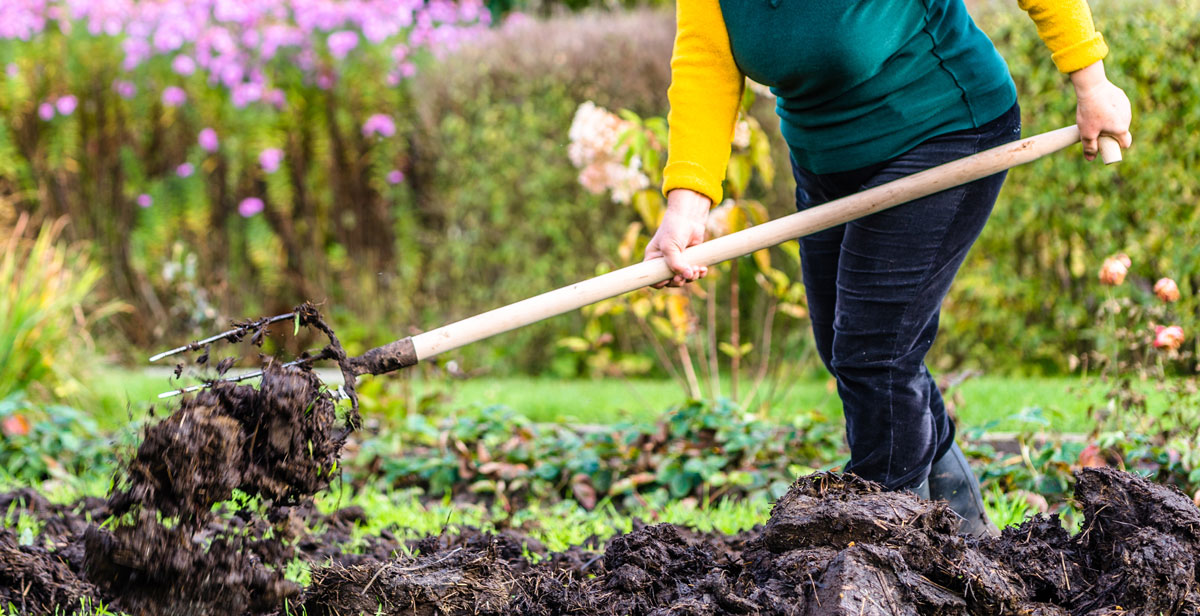 turn the soil