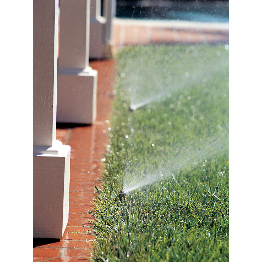 Rain Bird Spray nozzles in action