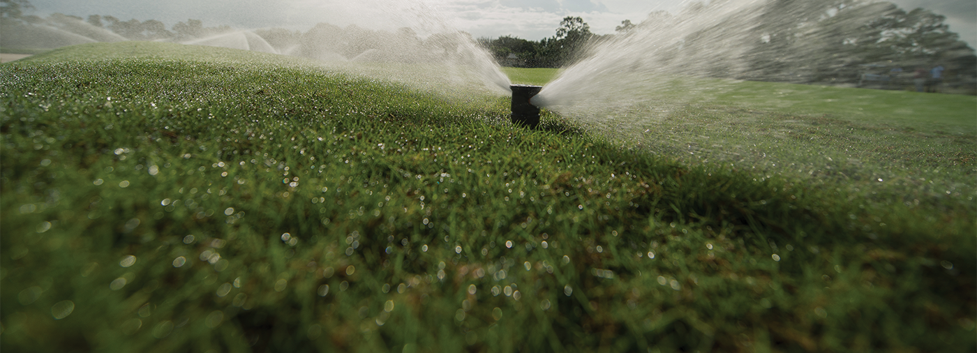 Rotor watering lawn