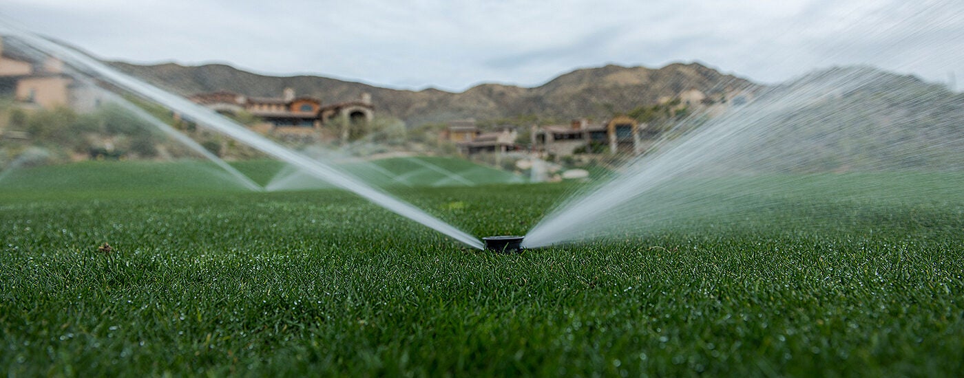 Sprinkler on Lawn