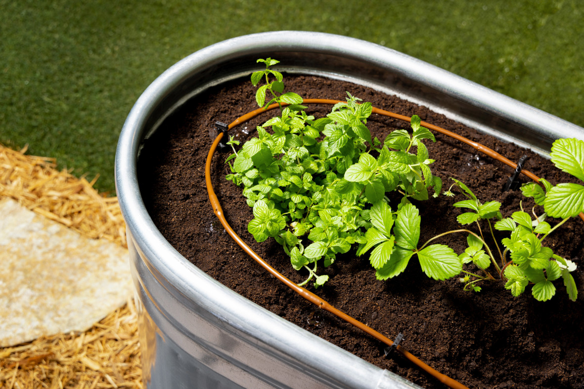 Raised Garden bed in tub