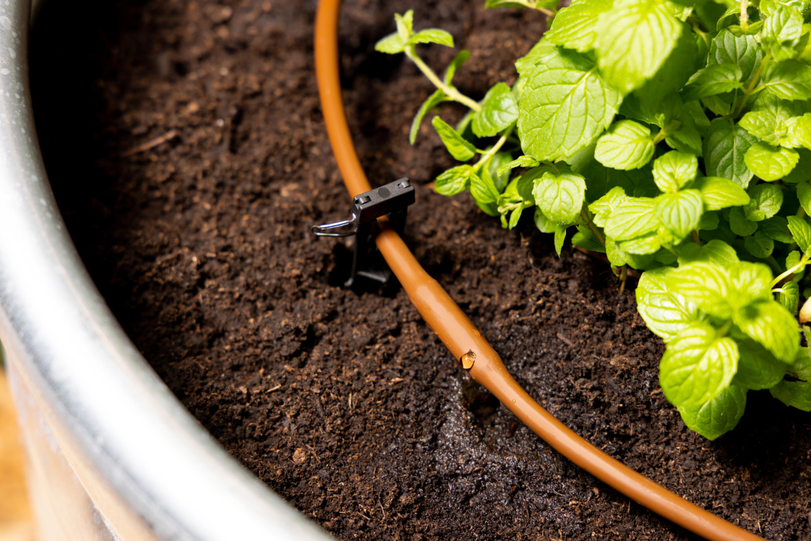 Raised Garden Bed close up
