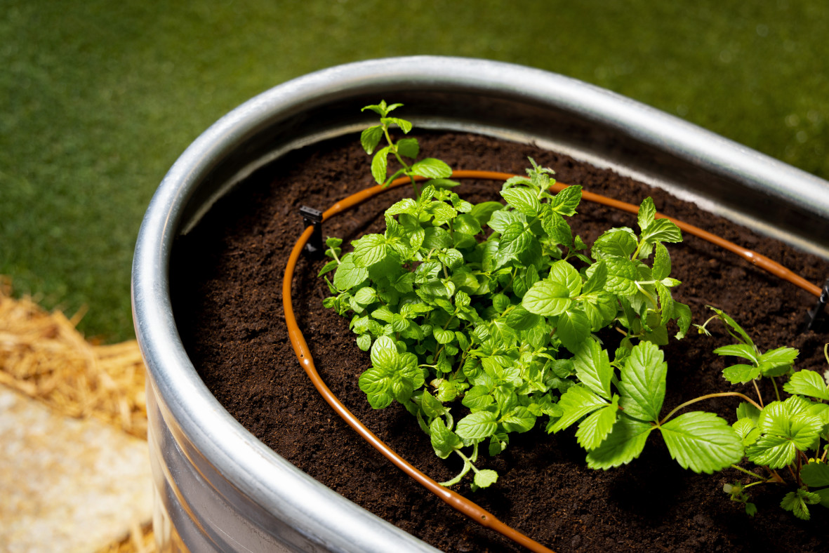 Raised Garden Bed in tub