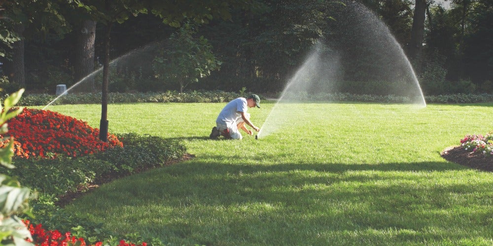 Gardener in grass with sprinkler on