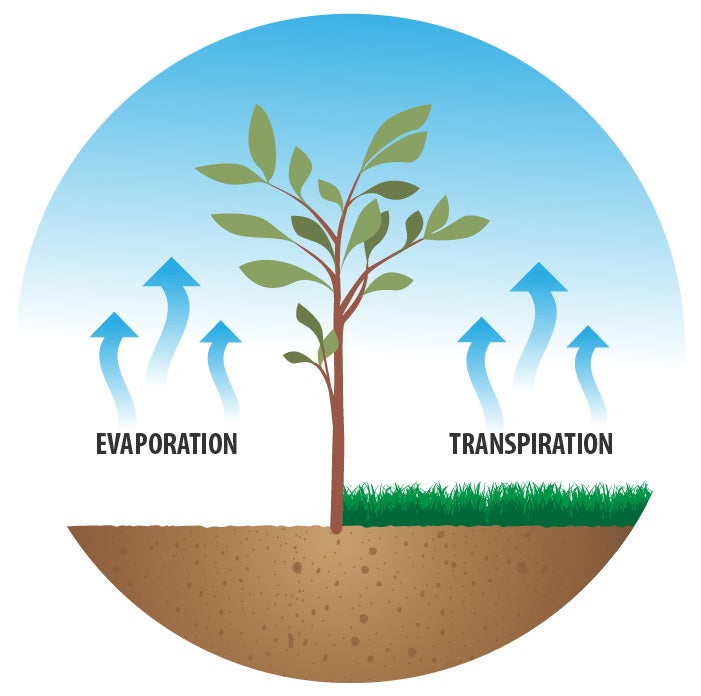 evapotransipration