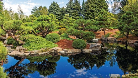 Denver Botanic Gardens, Denver, Colorado - Site Report Thumbnail