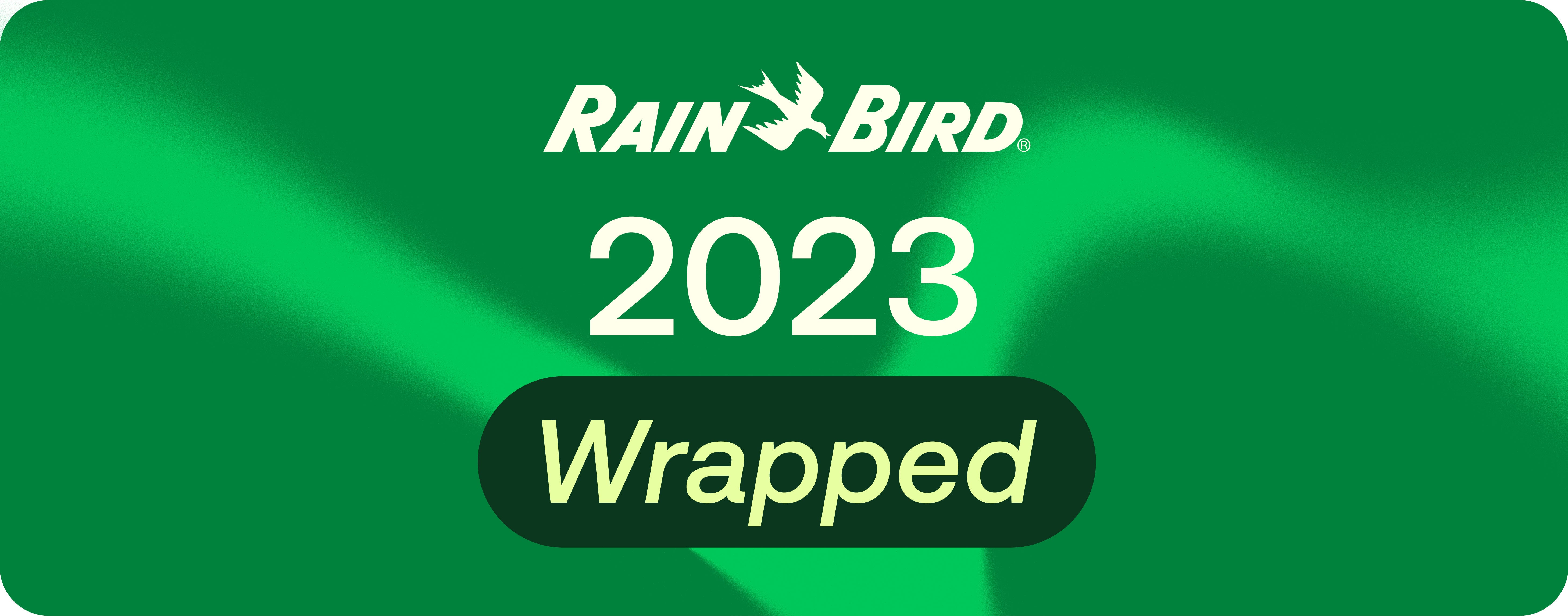 2023 Wrapped on a green wave background