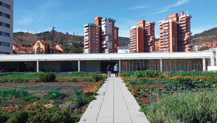 Cubierta Rooftop Urban Nursery, Barcelona, Spain Site Report