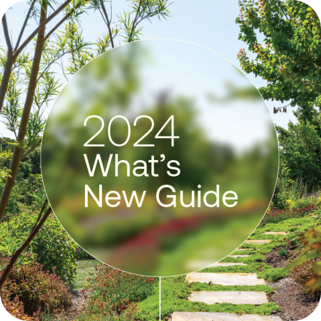 2024-new-guide