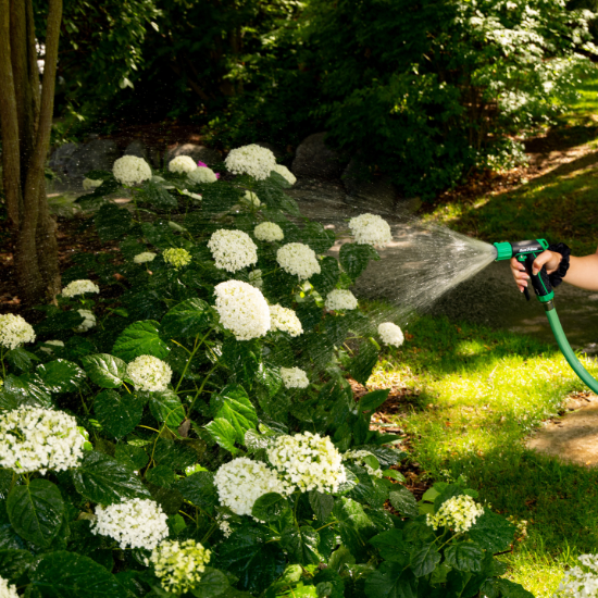 woman spraying water on flowers with rain bird nozzle