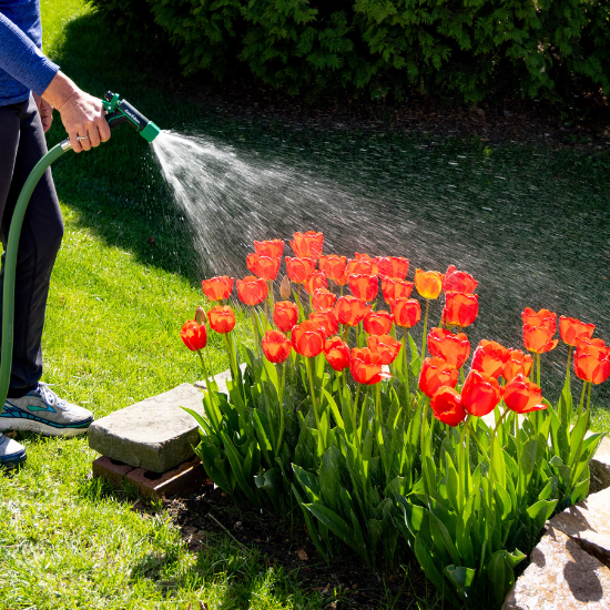 woman watering flowers