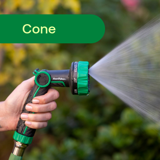 Cone